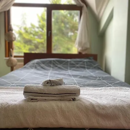 Country House Near The Airport Arnavutkoy